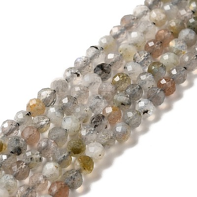 Natural Labradorite Beads Strands G-I341-11-1