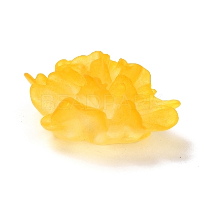 Transparent Resin Cabochons RESI-G027-01C-1