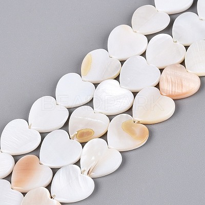 Natural Freshwater Shell Beads Strands SHEL-S276-87-1