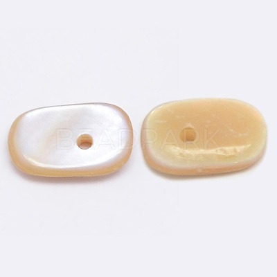 Dyed Natural Freshwater Shell Chips Beads X-SHEL-A003-D02-1