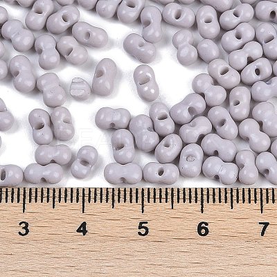 Baking Paint Glass Seed Beads X1-SEED-K010-A04-1