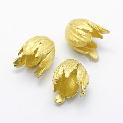 Brass Bead Caps KK-F721-116C-RS-1