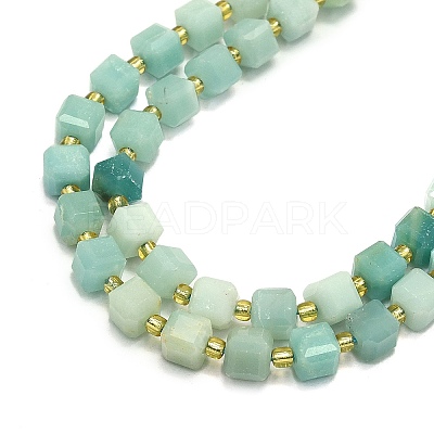 Natural Amazonite Beads Strand G-I376-D72-01-1