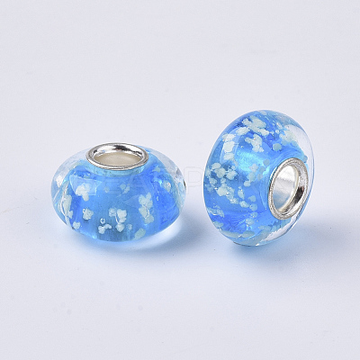 Handmade Lampwork European Beads LAMP-S193-006-1
