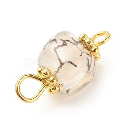 Natural Agate Connector Charms PALLOY-JF01587-04-1