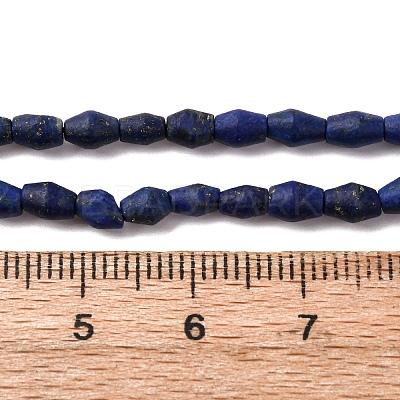Natural Lapis Lazuli Beads Strands G-F808-J01-01-1