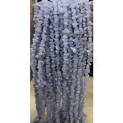 Natural Blue Lace Agate Chips Beads Strands G-M205-50-01-1