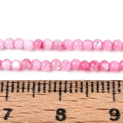 Dyed Natural Trochid Shell/Trochus Shell Beads Strands SSHEL-T017-13E-1