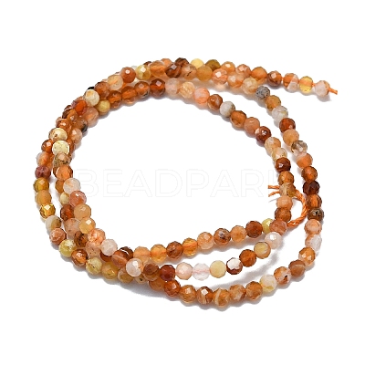 Natural Fire Opal Beads Strands G-G106-C03-02-1