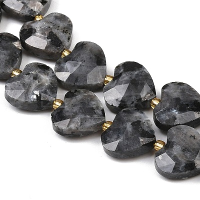 Natural Larvikite Beads Strands G-P592-B05-01-1