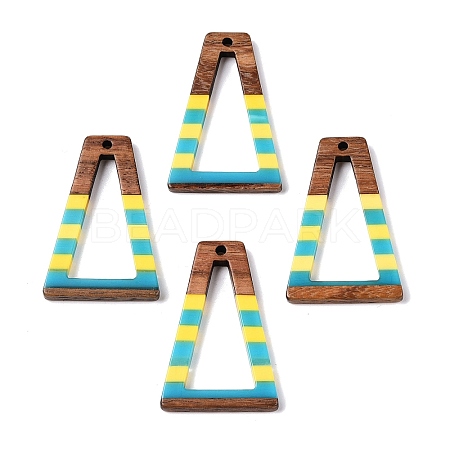 Epoxy Resin & Walnut Wood Pendants RESI-N039-121J-1
