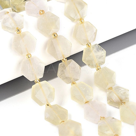 Heated Natural Lemon Quartz Beads Strands G-N368-01A-14-1