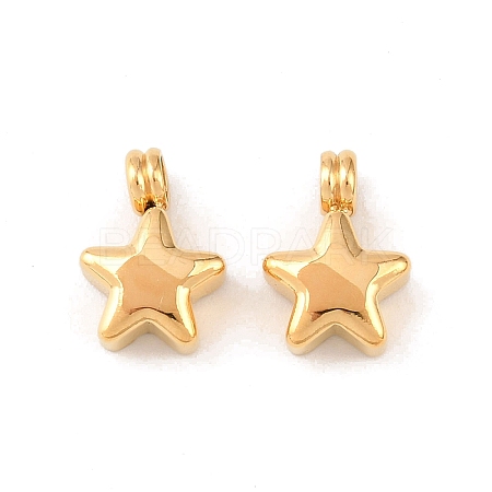 304 Stainless Steel Charms STAS-D390-43G-1