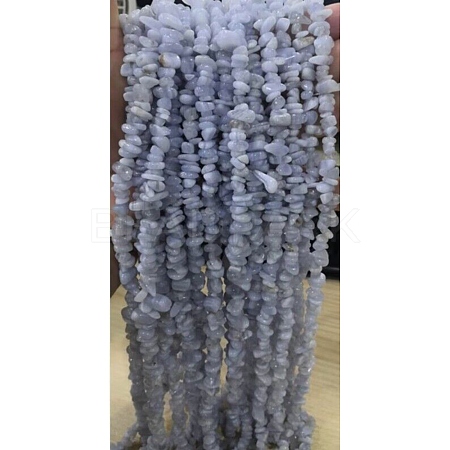 Natural Blue Lace Agate Chips Beads Strands G-M205-50-01-1