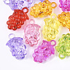 Transparent Acrylic Pendants TACR-S133-089-1