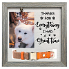 MDF Pet Photo Frames DIY-WH0525-028-1