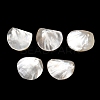 Natural White Shell with Freshwater Shell Beads SH-CBA93AD-13-1