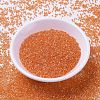 MIYUKI Delica Beads SEED-X0054-DB1887-2