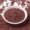 MIYUKI Round Rocailles Beads SEED-X0055-RR2315-2