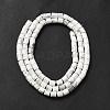Natural Howlite Beads Strands G-I341-04-4