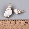 Electroplate Natural Sea Shell Pendants SSHEL-Q100-06KCG-3