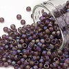 TOHO Round Seed Beads SEED-JPTR08-0166BF-1