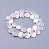 Shell Pearl Beads Strands BSHE-L041-06-3