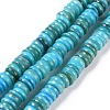 Shell Beads Strands SSHEL-E571-49J-1