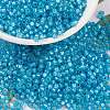 MIYUKI Round Rocailles Beads X-SEED-G008-RR0647-1