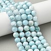 Natural Larimar Beads Strands G-B141-01-10mm-1