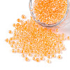 8/0 Glass Seed Beads SEED-A015-3mm-2202-1