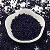 Baking Paint Glass Seed Beads X-SEED-S042-05B-79-2