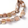 Erose Natural Shell Beads Strands X-PBB071Y-3