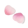 Imitation Candy Food Style Resin Cabochons LS-RESI-R461-01G-2