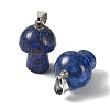 Dyed Natural Lapis Lazuli Pendants GG-CBAA0EE-05P-08-2