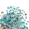 Natural Amazonite Chip Beads G-CJ0001-21-6