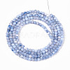 Dyed Natural Trochid Shell/Trochus Shell Beads Strands SSHEL-T017-13A-2