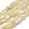 Natural White Shell Beads Strands SSHEL-H072-15-1