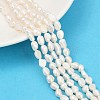 Natural Cultured Freshwater Pearl Beads Strands PEAR-P064-20H-02A-1