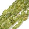Raw Rough Natural Peridot Beads Strands G-M453-D12-2