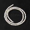 Natural Trochus Shell Beads Strands BSHE-S304-09B-2