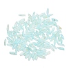 Frosted Glass Beads FGLA-L001-001K-1