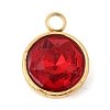 Birthstone Theme January 304 Stainless Steel Pendants STAS-K239-01G-A01-1