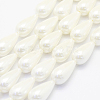 Shell Pearl Beads Strands BSHE-P024-06-1