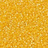 MIYUKI Delica Beads SEED-X0054-DB1562-3