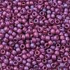 TOHO 6/0 Round Beads SEED-XTR06-0625F-2
