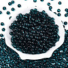 FGB Transparent Glass Seed Beads SEED-N013-01B-08-2