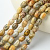 Barrel Shaped Gemstone Natural Crazy Lace Agate Beads Strands G-S114-08-2