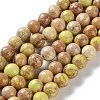 Dyed Natural Regalite/Imperial Jasper/Sea Sediment Jasper Beads Strands G-B124-C01-08-1