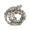 Natural Labradorite Beads Strands G-B022-32C-4